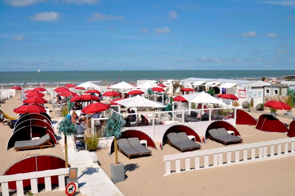 Sun And Fun Lejlighed Blankenberge Eksteriør billede