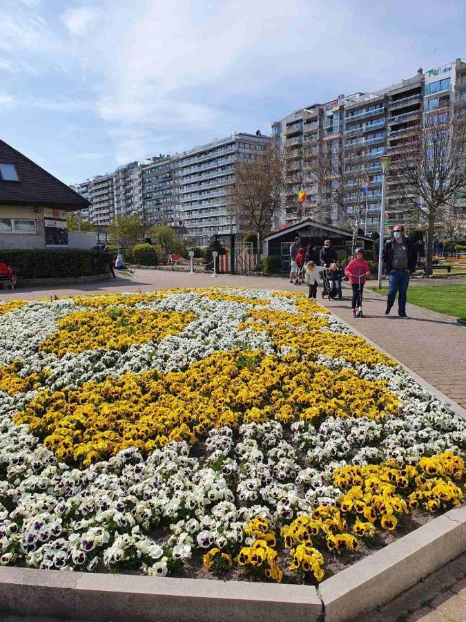 Sun And Fun Lejlighed Blankenberge Eksteriør billede